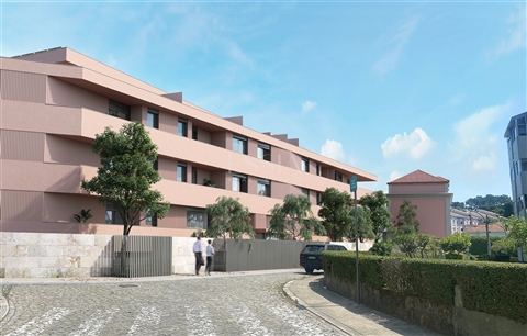 Senhora do Porto 249